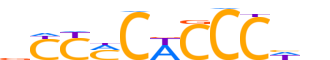 SALL4.H13INVIVO.0.P.B reverse-complement motif logo (SALL4 gene, SALL4_HUMAN protein)