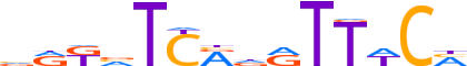 SIX1.H13INVIVO.0.P.B reverse-complement motif logo (SIX1 gene, SIX1_HUMAN protein)