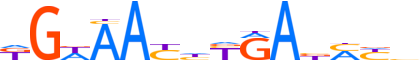 SIX2.H13INVIVO.0.P.B motif logo (SIX2 gene, SIX2_HUMAN protein)