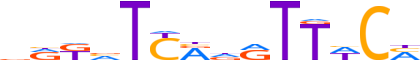 SIX2.H13INVIVO.0.P.B reverse-complement motif logo (SIX2 gene, SIX2_HUMAN protein)