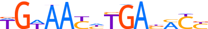 SIX4.H13INVIVO.0.P.B motif logo (SIX4 gene, SIX4_HUMAN protein)