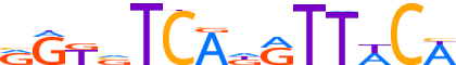 SIX4.H13INVIVO.0.P.B reverse-complement motif logo (SIX4 gene, SIX4_HUMAN protein)