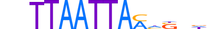 SKOR2.H13INVIVO.0.SM.D reverse-complement motif logo (SKOR2 gene, SKOR2_HUMAN protein)