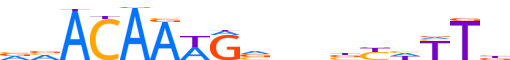 SOX10.H13INVIVO.0.PSM.A reverse-complement motif logo (SOX10 gene, SOX10_HUMAN protein)