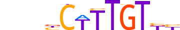 SOX10.H13INVIVO.1.PSM.A motif logo (SOX10 gene, SOX10_HUMAN protein)