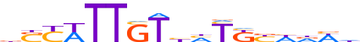 SOX2.H13INVIVO.1.P.B motif logo (SOX2 gene, SOX2_HUMAN protein)