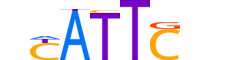 SOX2.H13INVIVO.2.S.B motif logo (SOX2 gene, SOX2_HUMAN protein)