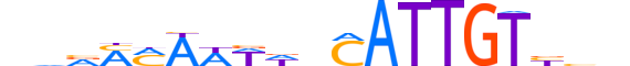 SOX7.H13INVIVO.1.SM.B motif logo (SOX7 gene, SOX7_HUMAN protein)