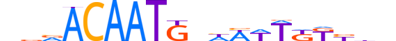 SOX7.H13INVIVO.1.SM.B reverse-complement motif logo (SOX7 gene, SOX7_HUMAN protein)