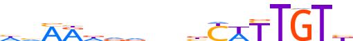 SOX8.H13INVIVO.0.PSM.A motif logo (SOX8 gene, SOX8_HUMAN protein)