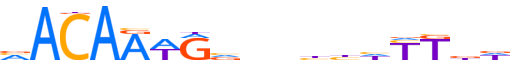 SOX8.H13INVIVO.0.PSM.A reverse-complement motif logo (SOX8 gene, SOX8_HUMAN protein)