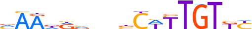 SOX9.H13INVIVO.0.PS.A motif logo (SOX9 gene, SOX9_HUMAN protein)