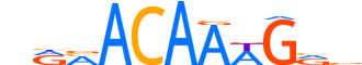 SOX9.H13INVIVO.1.PS.A reverse-complement motif logo (SOX9 gene, SOX9_HUMAN protein)