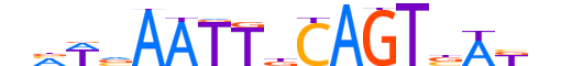 SOX9.H13INVIVO.2.S.B motif logo (SOX9 gene, SOX9_HUMAN protein)