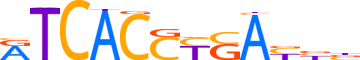 SRBP1.H13INVIVO.0.P.B reverse-complement motif logo (SREBF1 gene, SRBP1_HUMAN protein)