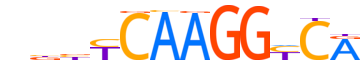 STF1.H13INVIVO.0.PSM.A motif logo (NR5A1 gene, STF1_HUMAN protein)