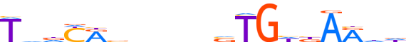 TBX19.H13INVIVO.0.PS.A motif logo (TBX19 gene, TBX19_HUMAN protein)