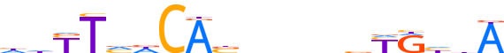 TBX19.H13INVIVO.0.PS.A reverse-complement motif logo (TBX19 gene, TBX19_HUMAN protein)