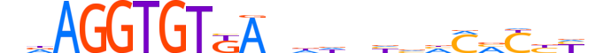 TBX4.H13INVIVO.1.S.B motif logo (TBX4 gene, TBX4_HUMAN protein)