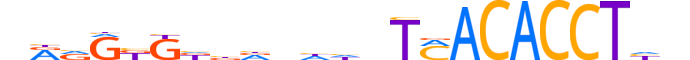 TBX4.H13INVIVO.1.S.B reverse-complement motif logo (TBX4 gene, TBX4_HUMAN protein)