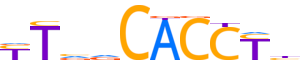 TBX6.H13INVIVO.0.PSM.A reverse-complement motif logo (TBX6 gene, TBX6_HUMAN protein)