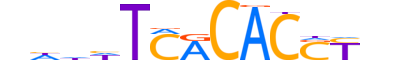 TBXT.H13INVIVO.1.PSM.A reverse-complement motif logo (TBXT gene, TBXT_HUMAN protein)