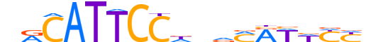 TEAD3.H13INVIVO.1.S.B motif logo (TEAD3 gene, TEAD3_HUMAN protein)