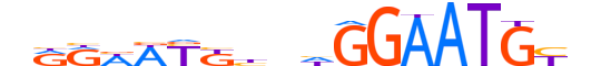 TEAD3.H13INVIVO.1.S.B reverse-complement motif logo (TEAD3 gene, TEAD3_HUMAN protein)