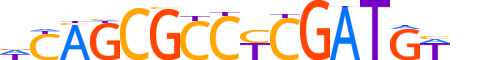 TF7L1.H13INVIVO.2.S.C motif logo (TCF7L1 gene, TF7L1_HUMAN protein)