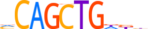 TFAP4.H13INVIVO.0.PSM.A motif logo (TFAP4 gene, TFAP4_HUMAN protein)
