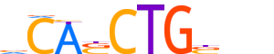 TFE2.H13INVIVO.0.PS.A motif logo (TCF3 gene, TFE2_HUMAN protein)