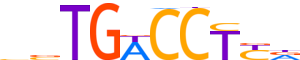 THB.H13INVIVO.1.PSM.A reverse-complement motif logo (THRB gene, THB_HUMAN protein)