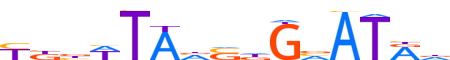 TIGD3.H13INVIVO.0.PSGIB.A reverse-complement motif logo (TIGD3 gene, TIGD3_HUMAN protein)