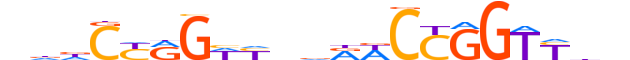 UBIP1.H13INVIVO.0.SM.D reverse-complement motif logo (UBP1 gene, UBIP1_HUMAN protein)