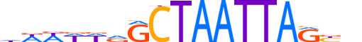 VSX2.H13INVIVO.1.S.B reverse-complement motif logo (VSX2 gene, VSX2_HUMAN protein)