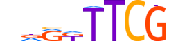 ZBED2.H13INVIVO.0.PSGIB.A motif logo (ZBED2 gene, ZBED2_HUMAN protein)