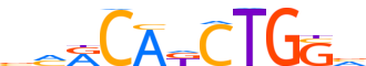 ZBT18.H13INVIVO.0.PSM.A reverse-complement motif logo (ZBTB18 gene, ZBT18_HUMAN protein)