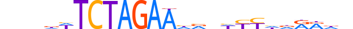 ZBT26.H13INVIVO.1.SM.B reverse-complement motif logo (ZBTB26 gene, ZBT26_HUMAN protein)