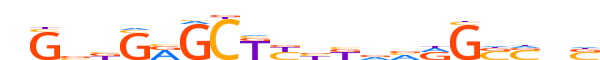 ZBTB41.H13INVIVO.0.PSG.A motif logo (ZBTB41 gene, ZBT41_HUMAN protein)