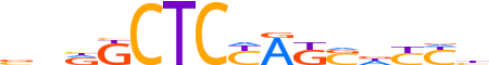 ZBTB6.H13INVIVO.0.P.B reverse-complement motif logo (ZBTB6 gene, ZBTB6_HUMAN protein)