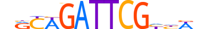 ZFAT.H13INVIVO.0.PSGI.A motif logo (ZFAT gene, ZFAT_HUMAN protein)