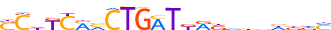 ZN134.H13INVIVO.1.P.C reverse-complement motif logo (ZNF134 gene, ZN134_HUMAN protein)