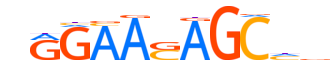 ZN341.H13INVIVO.0.P.B motif logo (ZNF341 gene, ZN341_HUMAN protein)