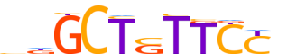 ZN341.H13INVIVO.0.P.B reverse-complement motif logo (ZNF341 gene, ZN341_HUMAN protein)