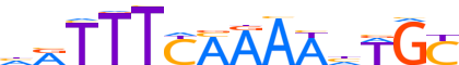 ZN584.H13INVIVO.1.P.C motif logo (ZNF584 gene, ZN584_HUMAN protein)