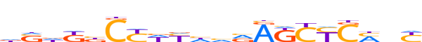 ZN667.H13INVIVO.0.P.C motif logo (ZNF667 gene, ZN667_HUMAN protein)