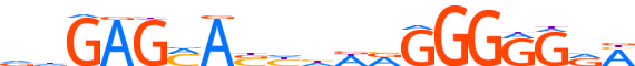 ZN701.H13INVIVO.0.P.B motif logo (ZNF701 gene, ZN701_HUMAN protein)