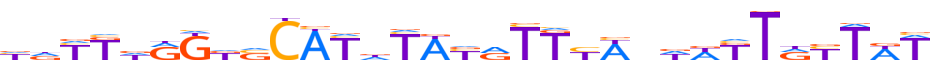 ZN879.H13INVIVO.0.P.C motif logo (ZNF879 gene, ZN879_HUMAN protein)