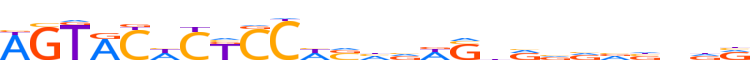 ZNF20.H13INVIVO.0.PSG.A motif logo (ZNF20 gene, ZNF20_HUMAN protein)