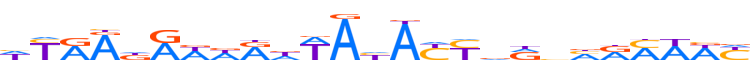 ZNF234.H13INVIVO.0.PSG.A motif logo (ZNF234 gene, ZN234_HUMAN protein)